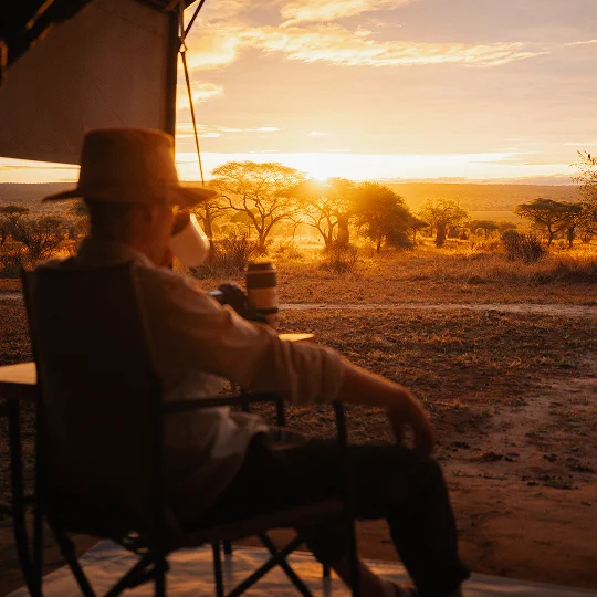 Solnedgång vid ett safariläger i Tanzania Solnedgång vid ett safariläger i Tanzania
