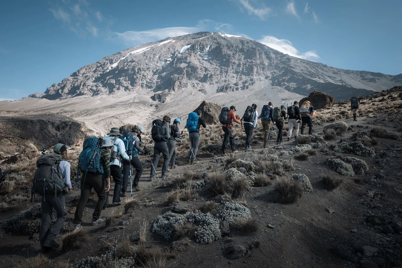 Altezza-vandrare på en gemensam Kilimanjaro-resa