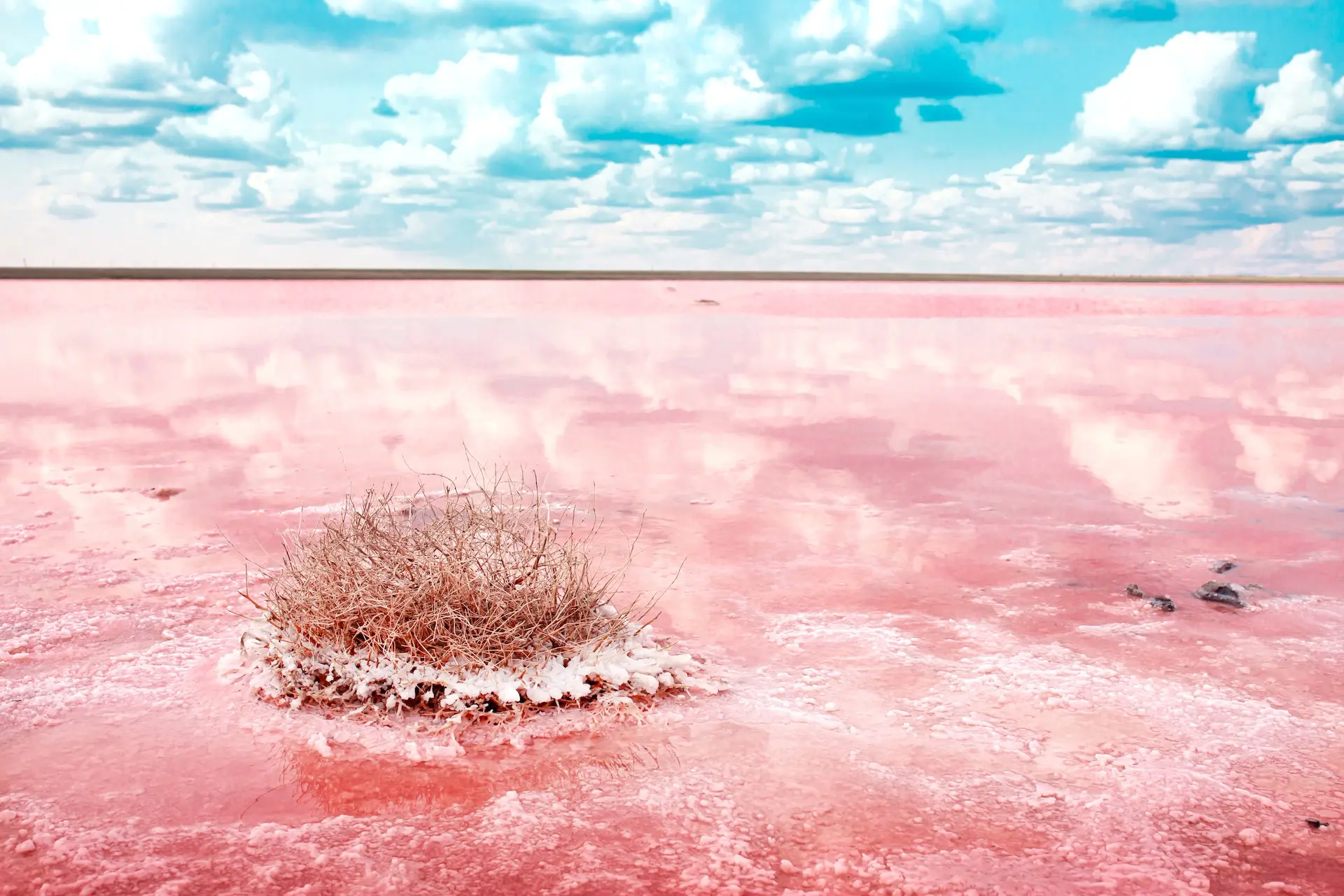 Under torrsäsongen blir sjön röd och täcks av salt. Foto: Vera Larina / Shutterstock