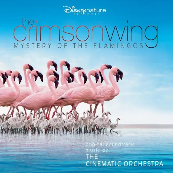 Omslaget till dokumentären ”The Crimson Wing: Mystery of the Flamingos”