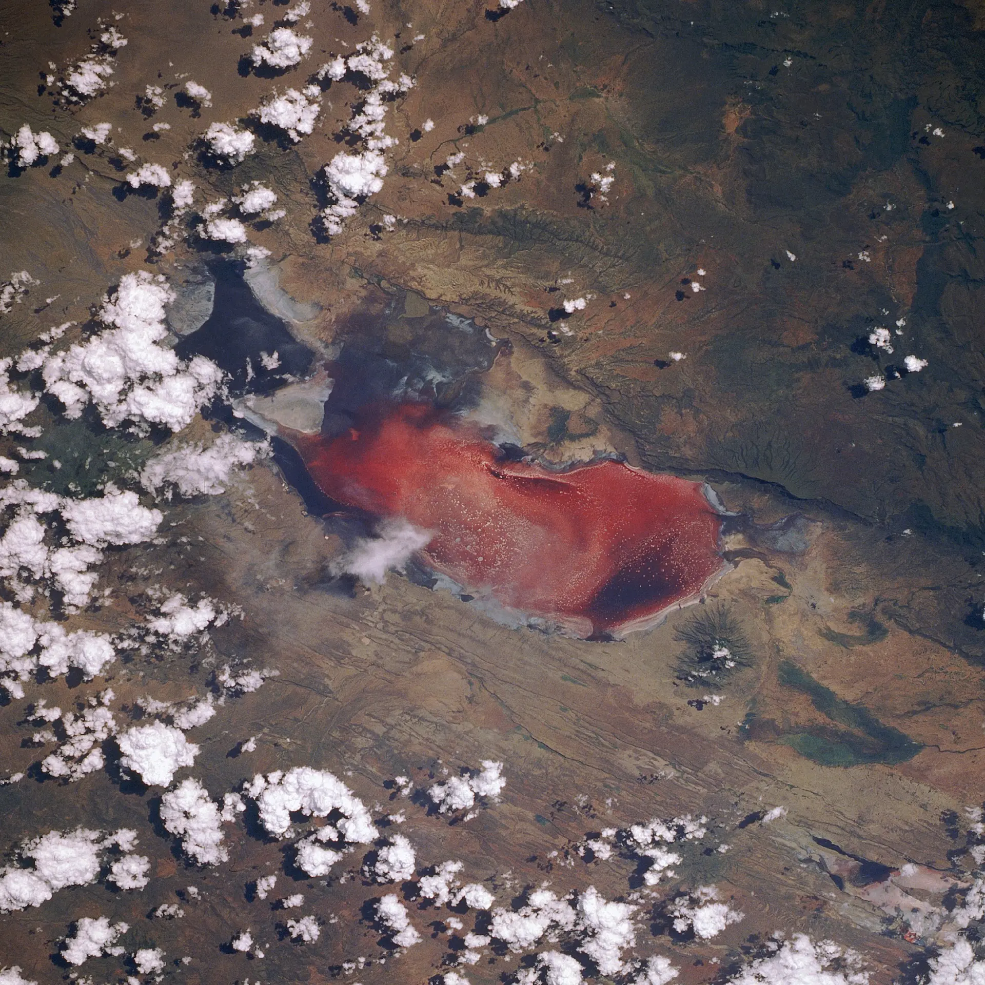 Lake Natron, ibland kallad ”den dödliga röda sjön”, sedd från rymdfärjan Discovery under uppdrag STS-29. Foto: NASA