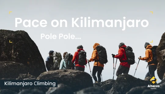 Hitta rätt tempo på Kilimanjaro | Altezza Travel