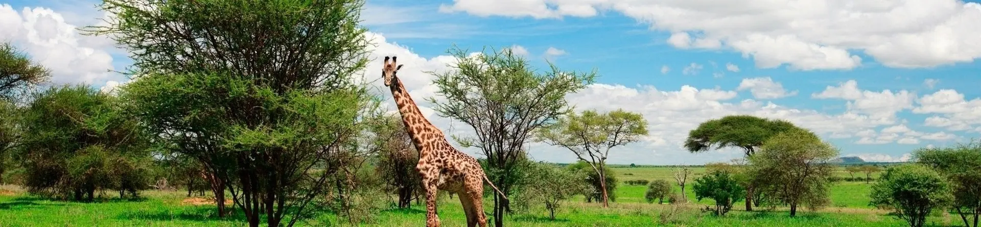 Arusha nationalpark