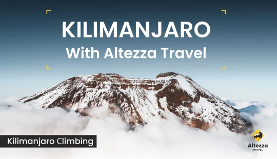 Bestiga Kilimanjaro: viktig information | Altezza Travel