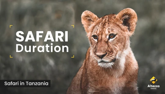Safariplanering: hur många dagar behöver du?