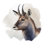 Vattenbock