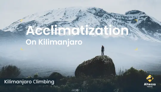 Acklimatisering på Kilimanjaro | Altezza Travel